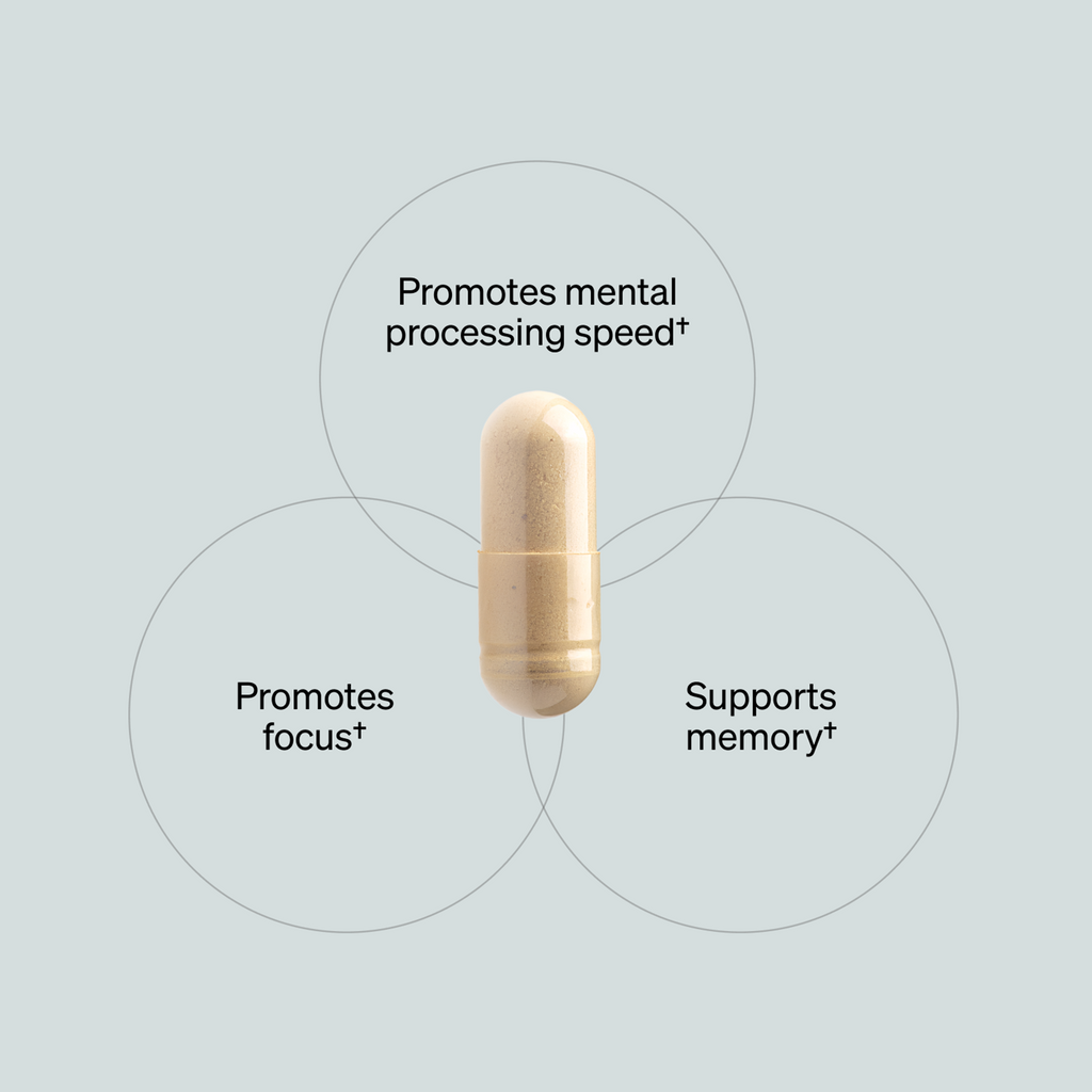 Alpha BRAIN® (30 ct) — Onnit