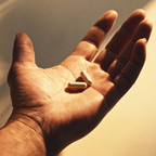 Alpha BRAIN® (30 ct) — Onnit
