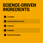 Alpha BRAIN® (30 ct) — Onnit