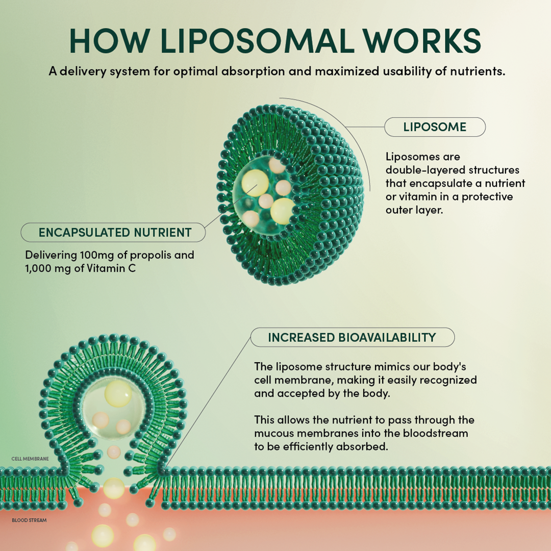 Propolis + Vitamin C Liposomal — Beekeeper's Naturals