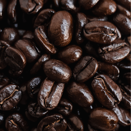 Almond Cow Organic House Coffee — Almond Cow