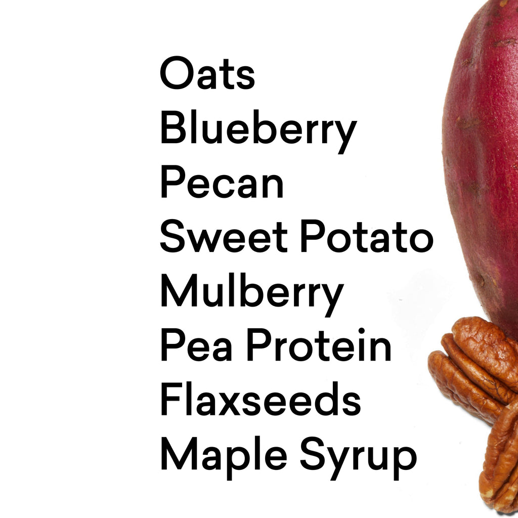 Blueberry Maple Pecan Protein Oat Bowl — Daily Harvest