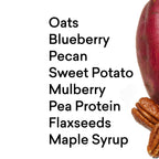 Blueberry Maple Pecan Protein Oat Bowl — Daily Harvest