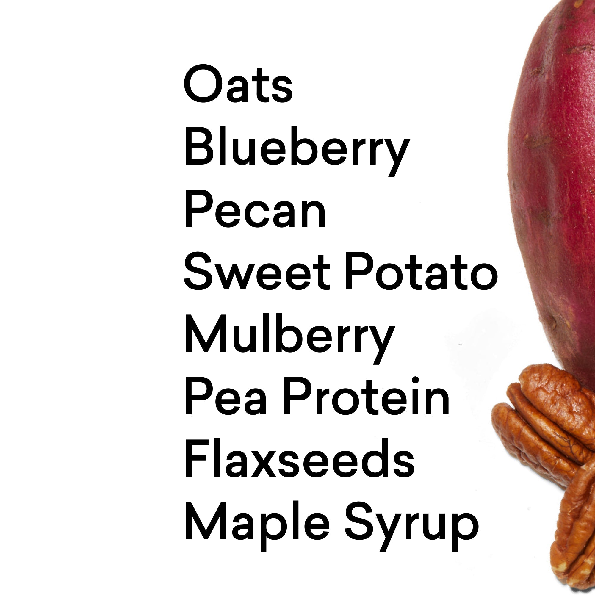 Blueberry Maple Pecan Protein Oat Bowl — Daily Harvest