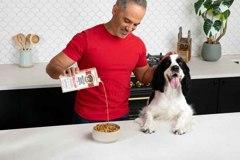 Brutus Bone Broth Singles — Brutusbroth