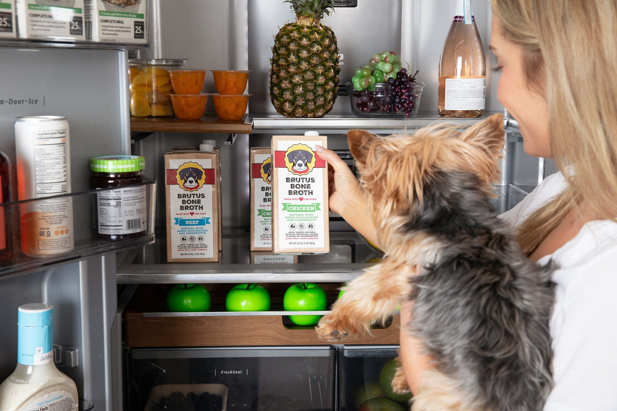 Brutus Bone Broth Singles — Brutusbroth