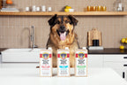 Brutus Bone Broth Singles — Brutusbroth