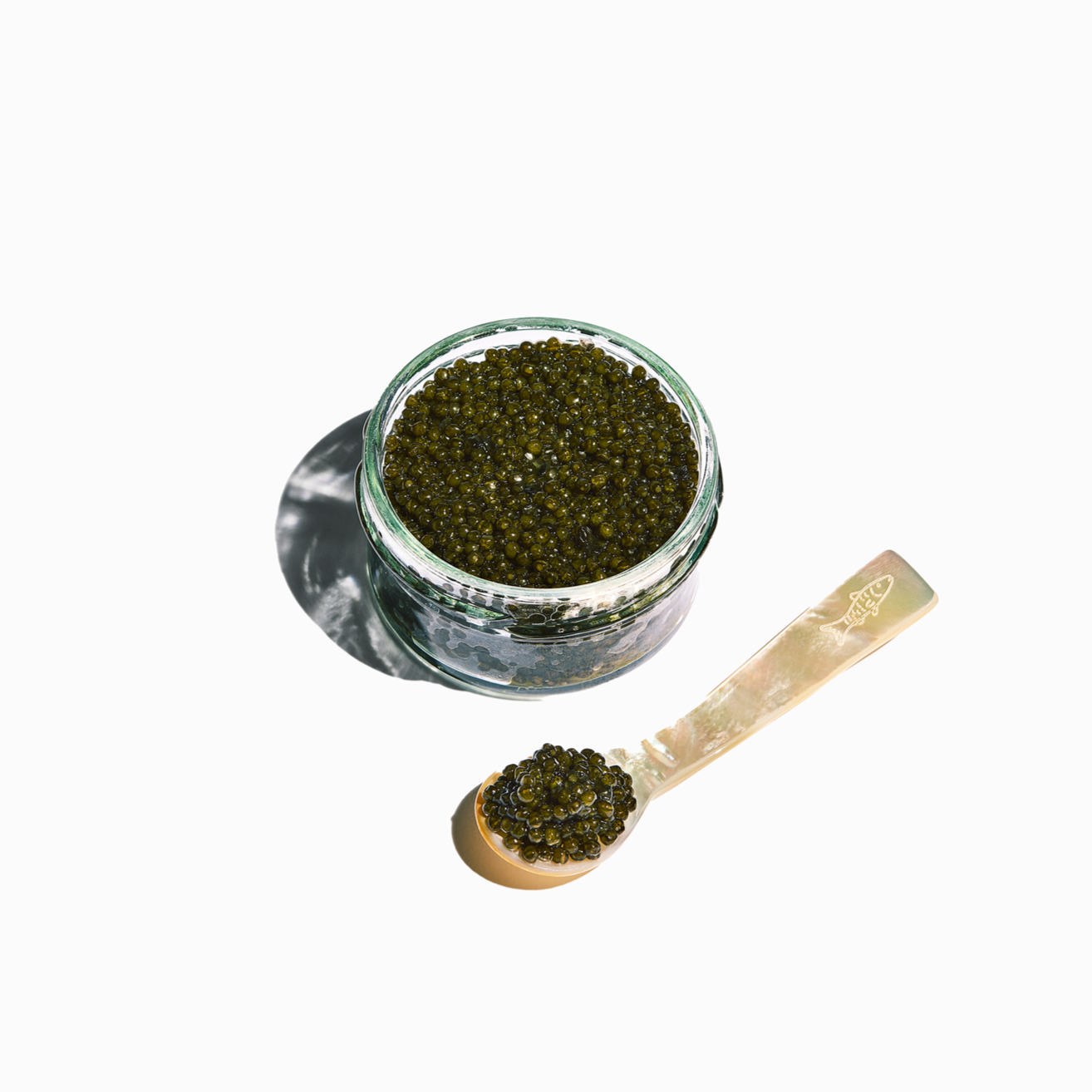 Fishwife California White Sturgeon Caviar — Fishwife