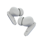 Pro Earbuds — Raycon