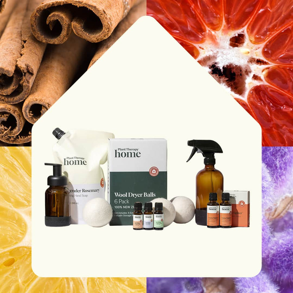 Natural Home Starter Bundle — Plant Therapy