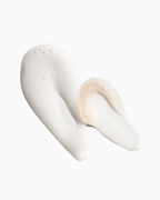 PINK CLOUD Rosewater + Tremella Jelly Facial Cleanser — Herbivore Botanicals