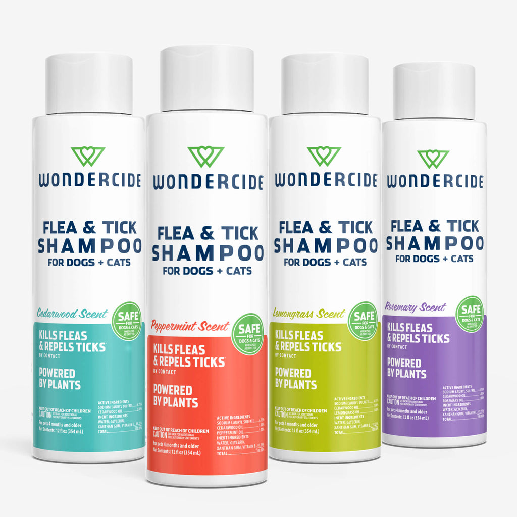 Flea & Tick Shampoo — Wondercide