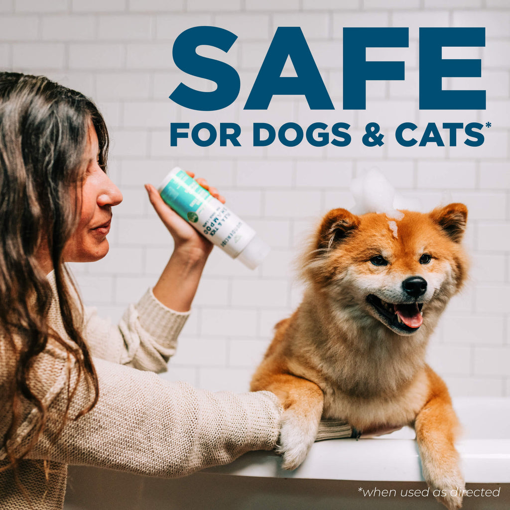Flea & Tick Shampoo — Wondercide