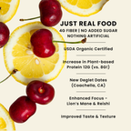 Organic Lemon Cherry Energy Bar — Send Bars