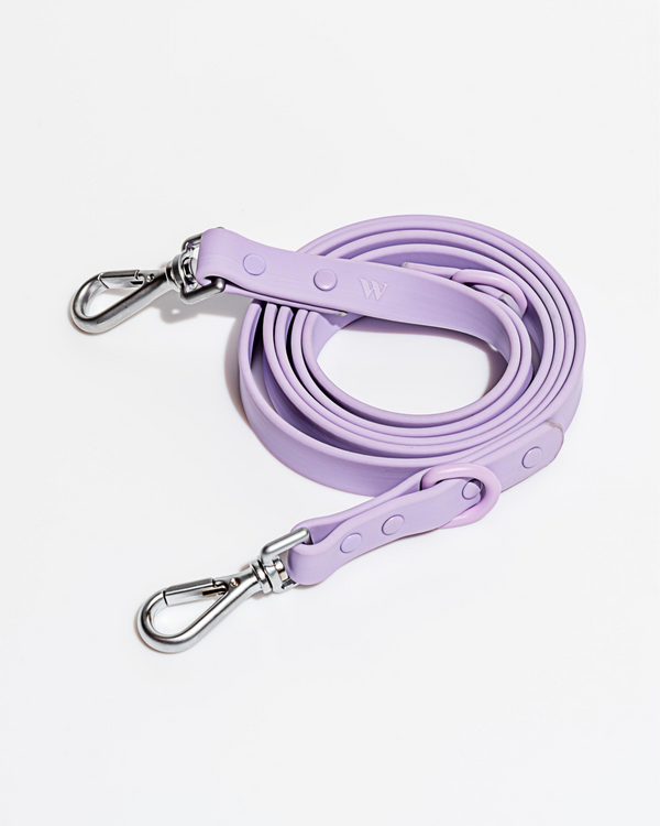Harness Walk Kit — Wild One
