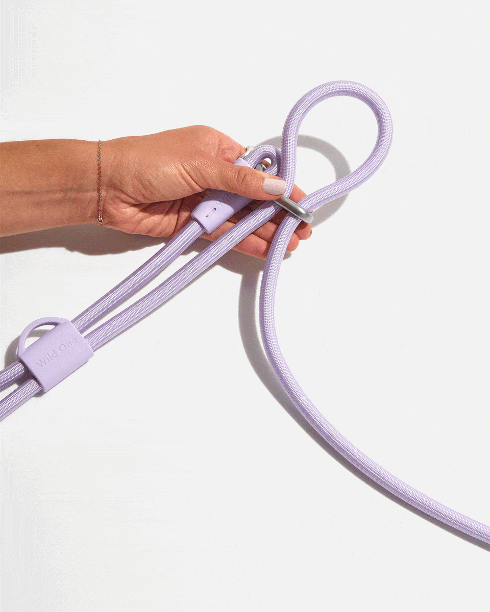 Hands-Free Rope Leash — Wild One