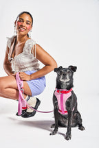 Harness Walk Kit — Wild One