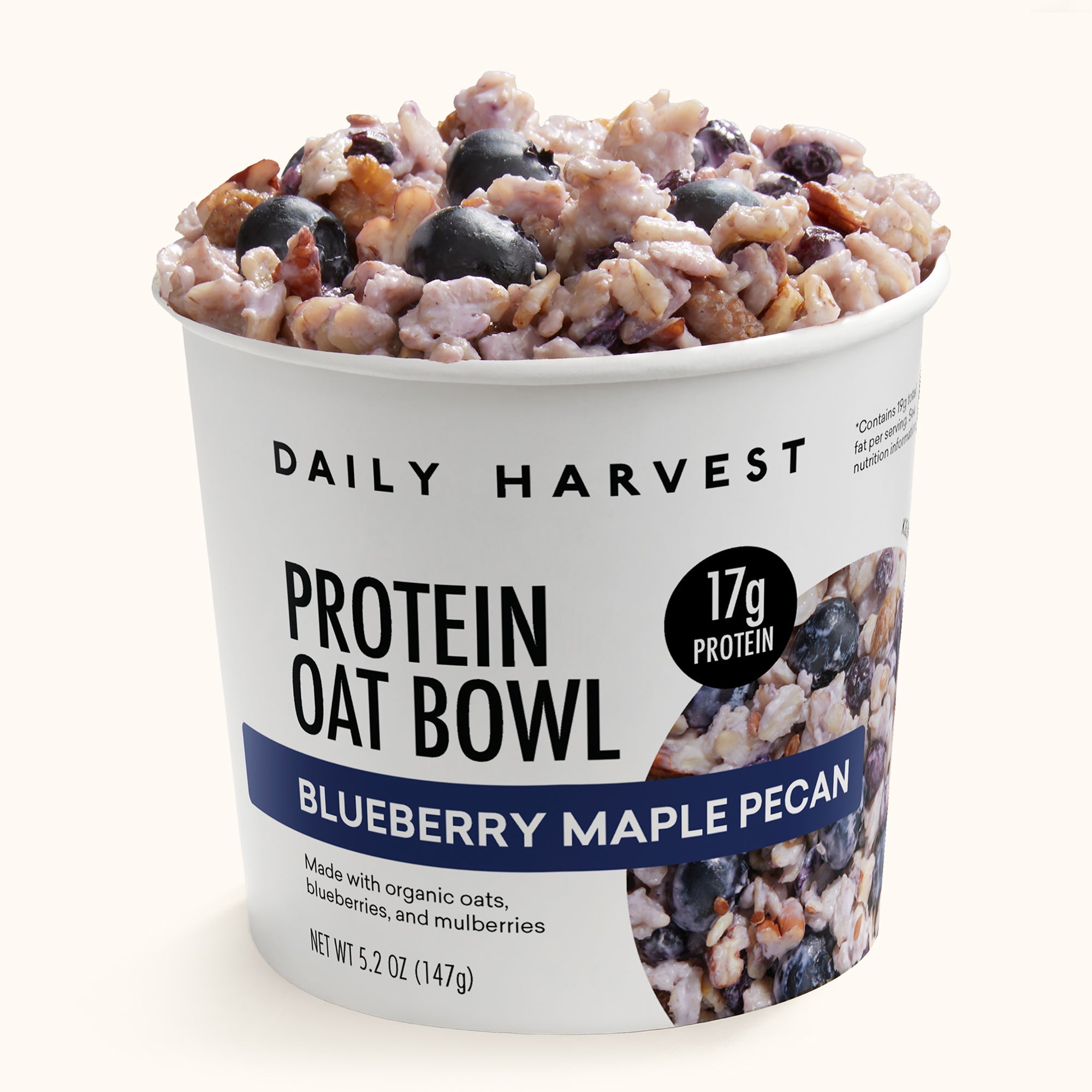 Blueberry Maple Pecan Protein Oat Bowl — Daily Harvest