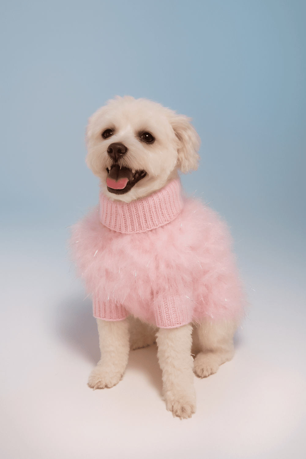 Christian Cowan Holiday Glitz Jumper — maxbone