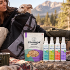 The Dog Days Out Kit lifestyle image 1