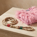 The Dog Park Ready lifestyle image 3