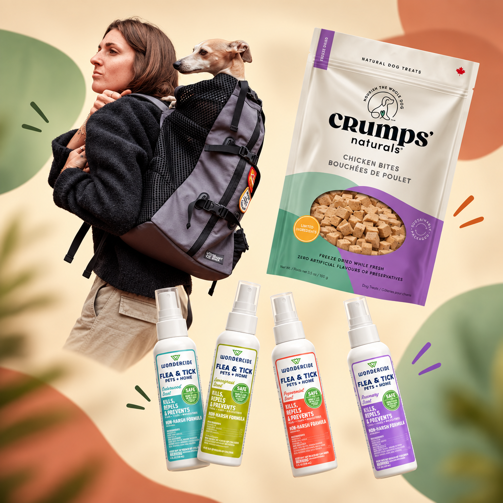 The Dog Days Out Kit lifestyle image 5