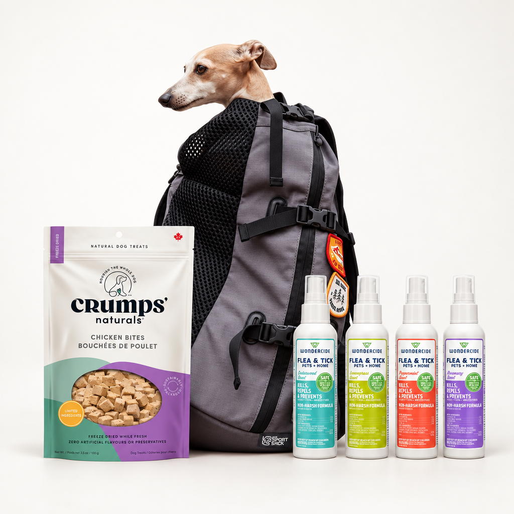 The Dog Days Out Kit bundle hero image