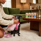 The Dog Park Social Kit lifestyle image 2