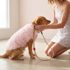 The Dog Park Ready lifestyle image 2