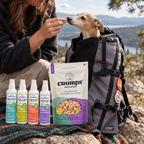 The Dog Days Out Kit lifestyle image 2