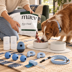 Dog Dine Duo lifestyle image 2