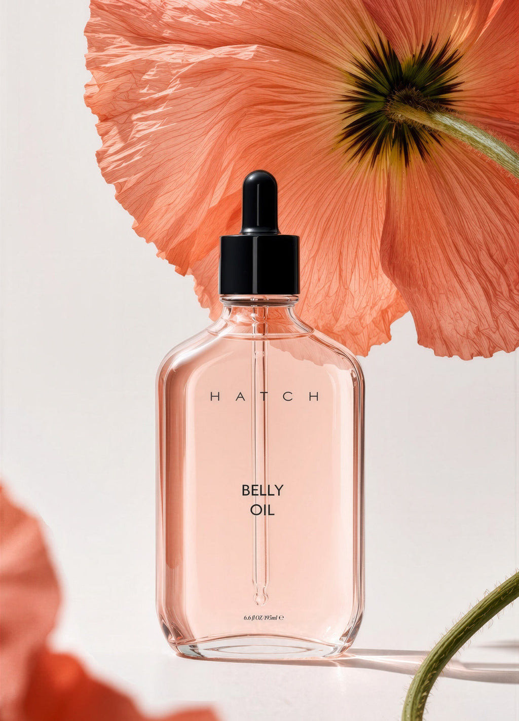 Belly Oil — HATCH Collection