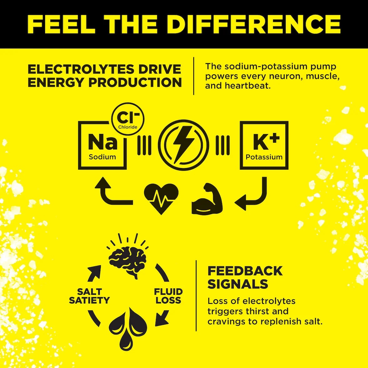 LMNT Zero-Sugar Electrolytes — Drink LMNT