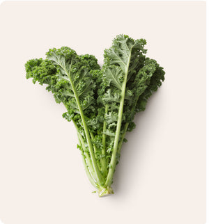 Greens — Beam Organics
