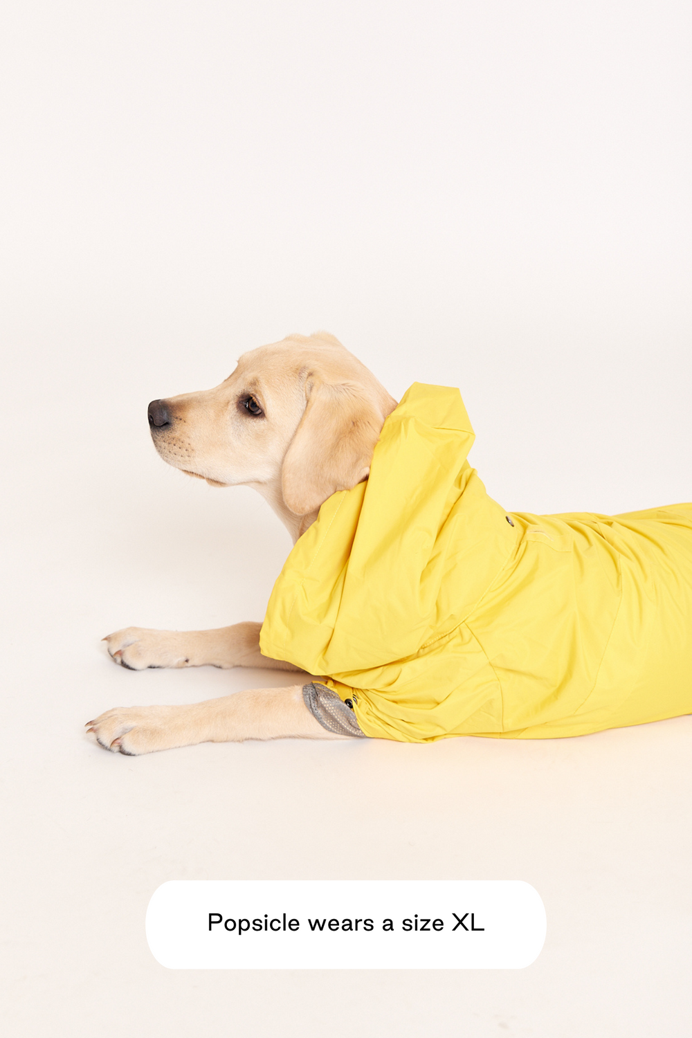 Talon Raincoat — maxbone