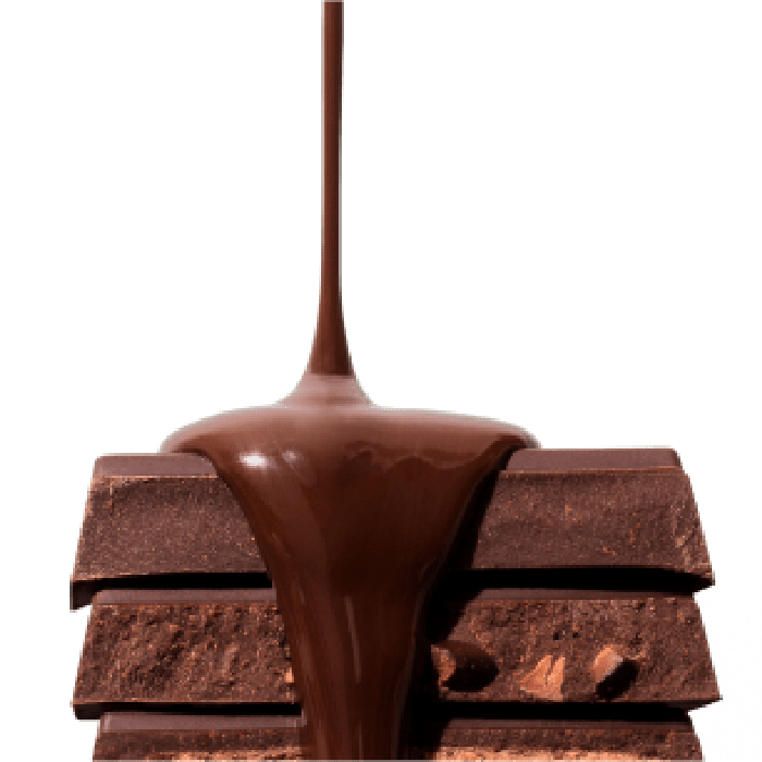 Salty Dark Chocolate Bar — Hu Kitchen