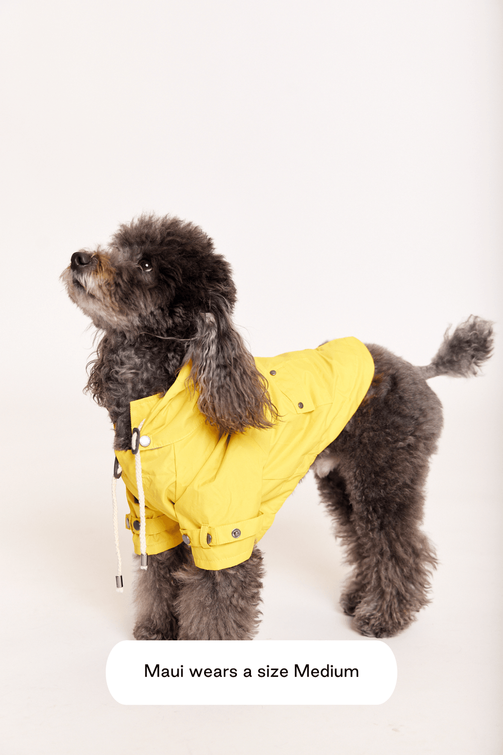 Talon Raincoat — maxbone
