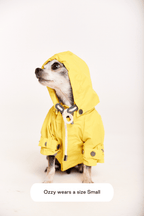 Talon Raincoat — maxbone
