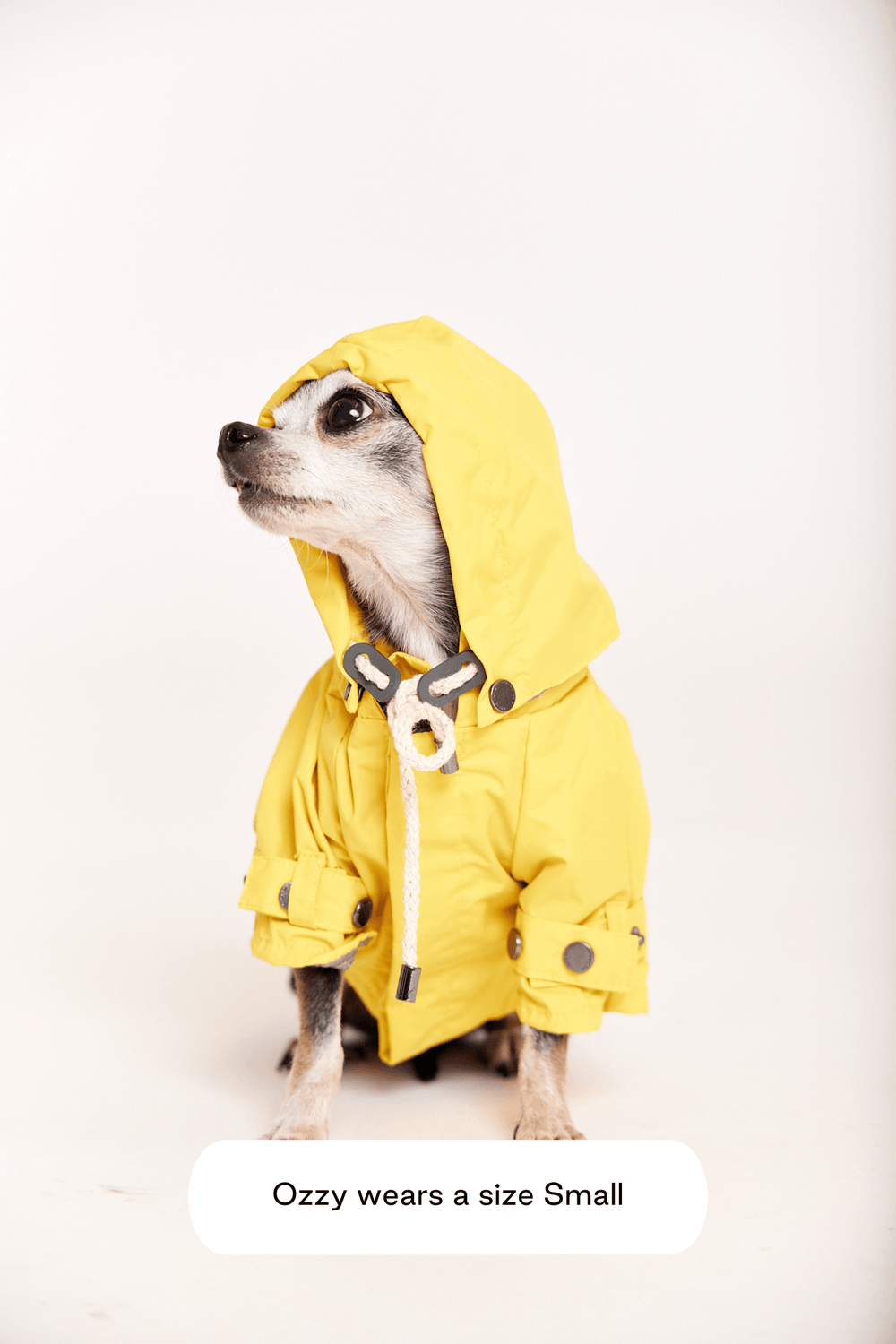 Talon Raincoat — maxbone